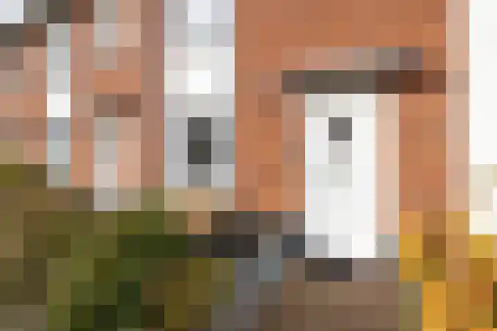 Boetersstraat 41 Wateringen thumbnail 5