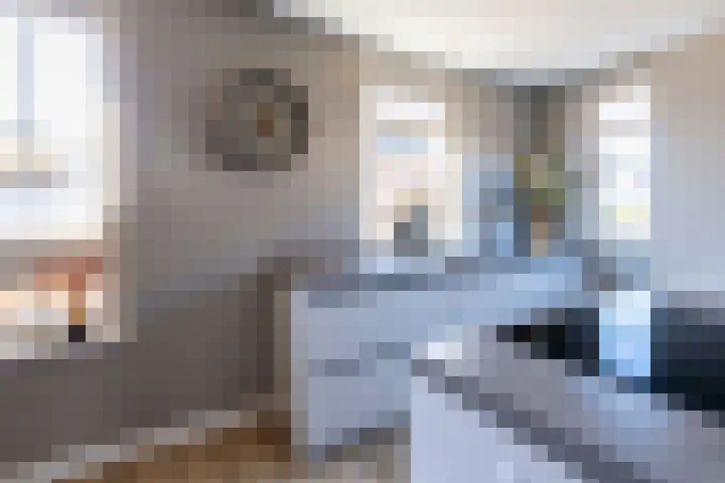 Boetersstraat 60 Wateringen thumbnail 8