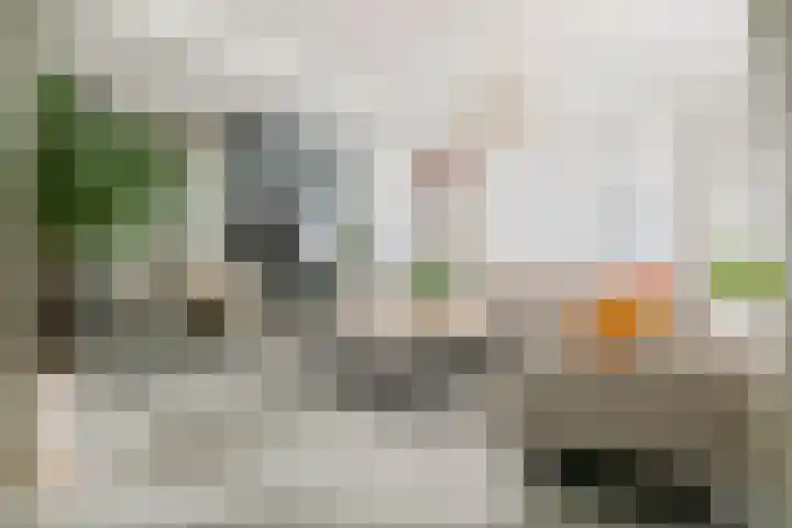 Boëtiusstraat 6 Leerdam thumbnail 4