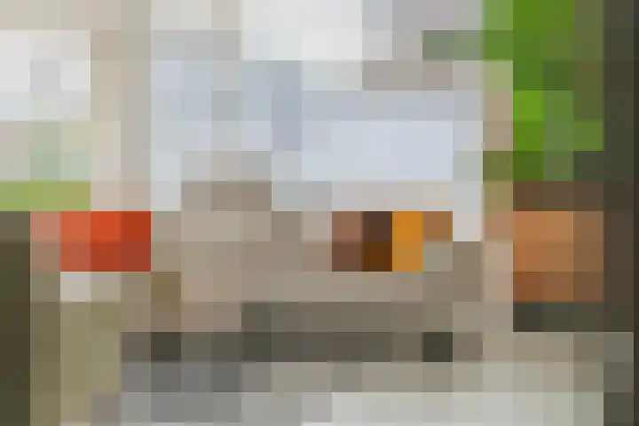 Boëtiusstraat 6 Leerdam thumbnail 6