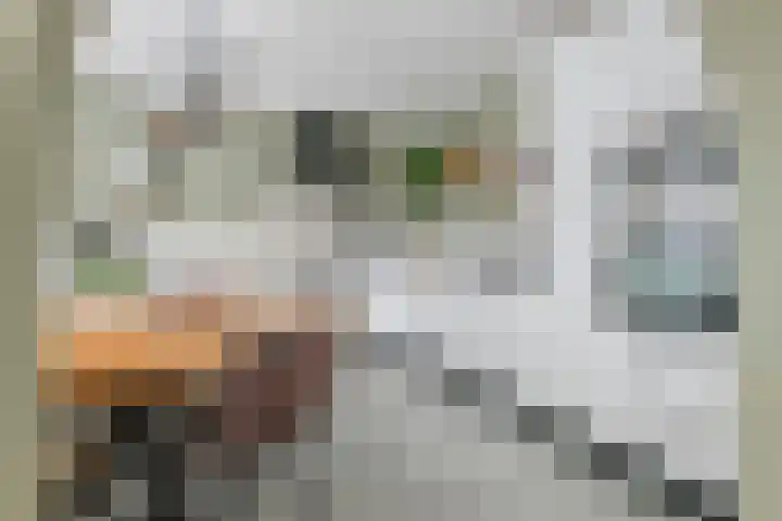 Boëtiusstraat 6 Leerdam thumbnail 8