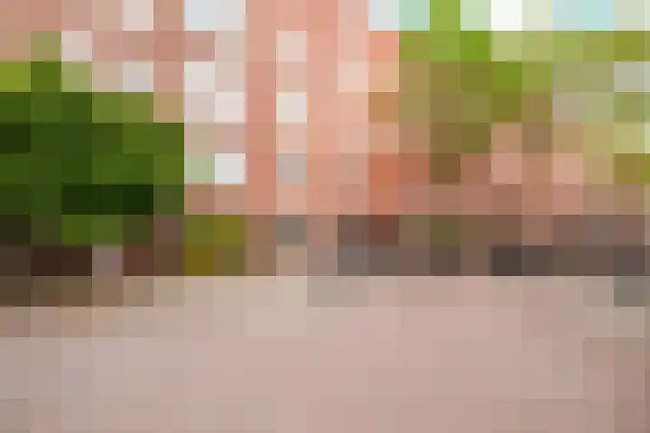 Boetonstraat 20 2 Amsterdam thumbnail 13