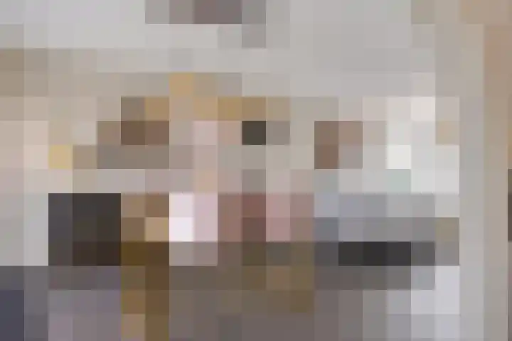 Boetse Molen 3 Steenbergen thumbnail 10