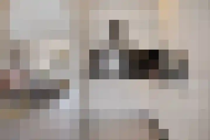 Boetse Molen 3 Steenbergen thumbnail 11