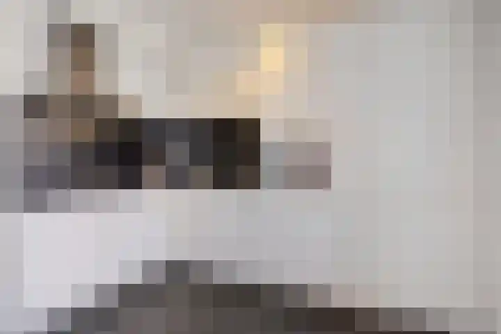 Boetse Molen 3 Steenbergen thumbnail 12