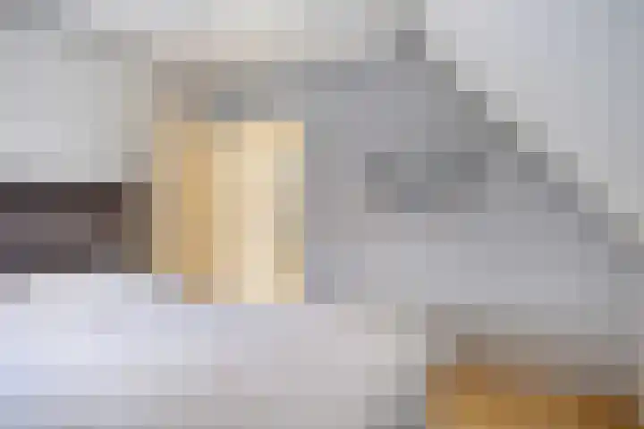 Boetse Molen 3 Steenbergen thumbnail 16