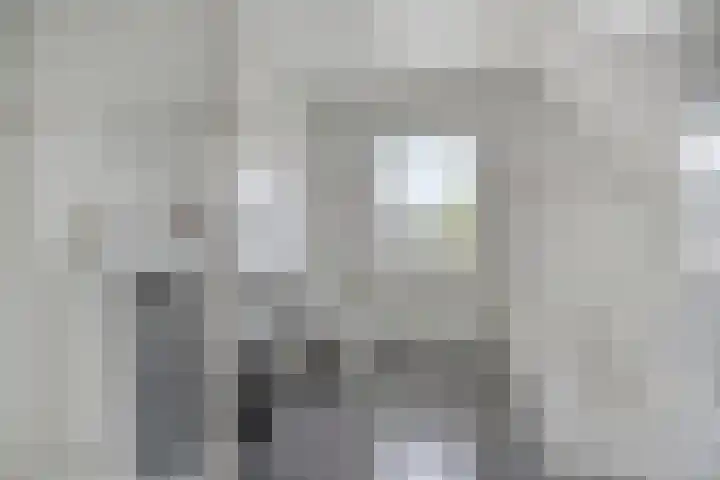 Boetse Molen 3 Steenbergen thumbnail 17