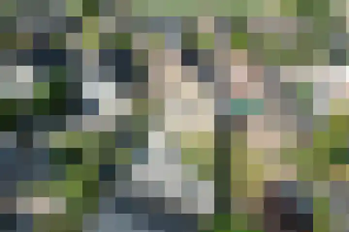 Boetse Molen 3 Steenbergen thumbnail 25