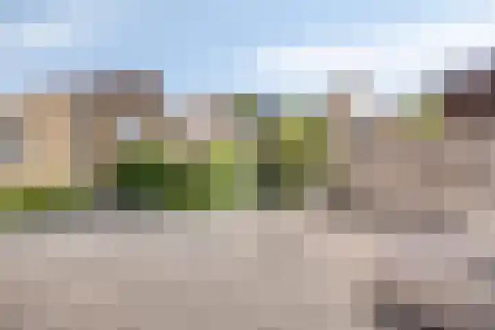 Boetse Molen 3 Steenbergen thumbnail 27