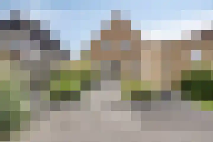 Boetse Molen 3 Steenbergen thumbnail 28