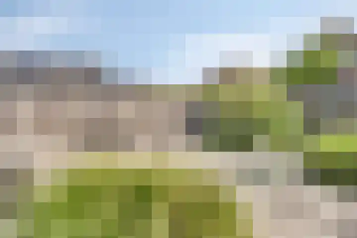 Boetse Molen 3 Steenbergen thumbnail 29