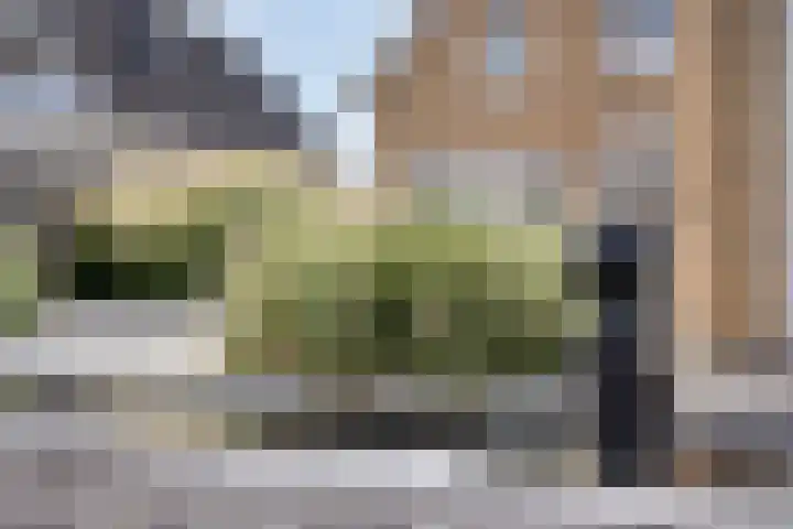 Boetse Molen 3 Steenbergen thumbnail 30