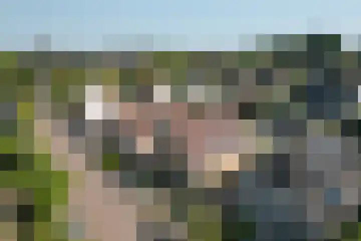 Boetse Molen 3 Steenbergen thumbnail 33