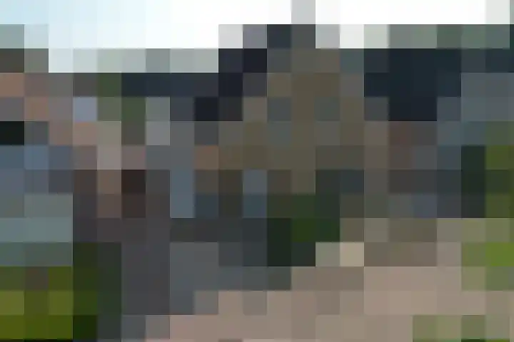 Boetse Molen 3 Steenbergen thumbnail 34