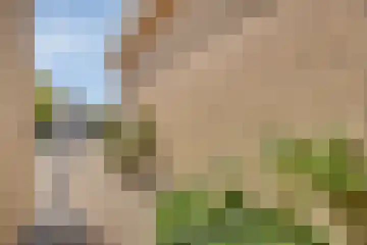 Boetse Molen 3 Steenbergen thumbnail 36