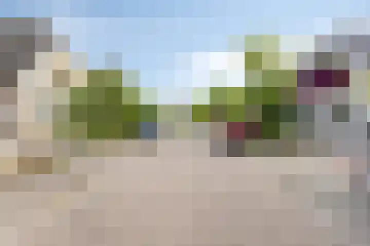 Boetse Molen 3 Steenbergen thumbnail 37