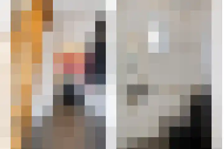 Boetse Molen 3 Steenbergen thumbnail 5