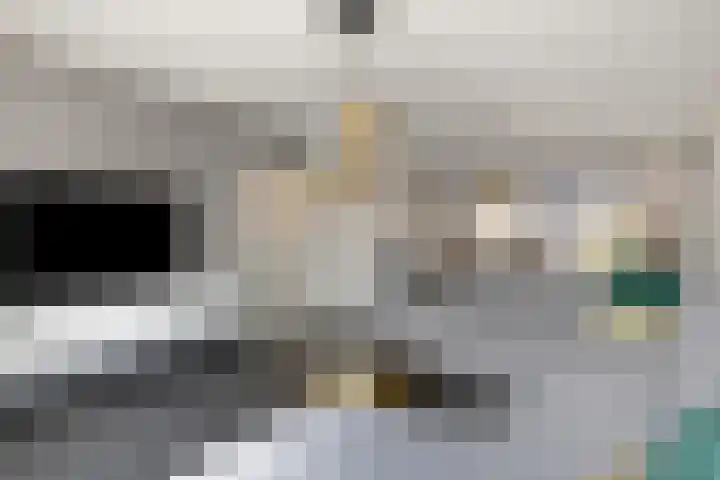 Boetse Molen 3 Steenbergen thumbnail 7
