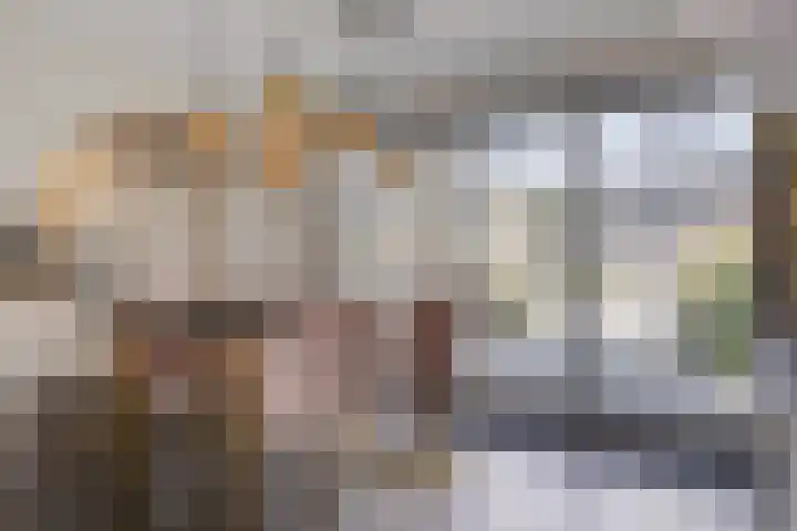 Boetse Molen 3 Steenbergen thumbnail 9