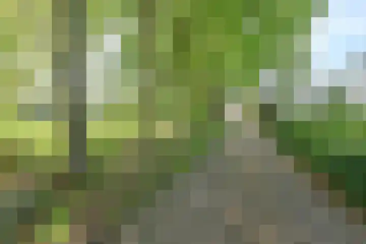 Boetseweg 25 Roswinkel thumbnail 10