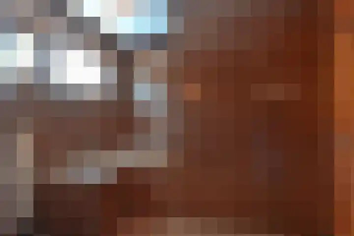 Boetseweg 25 Roswinkel thumbnail 107