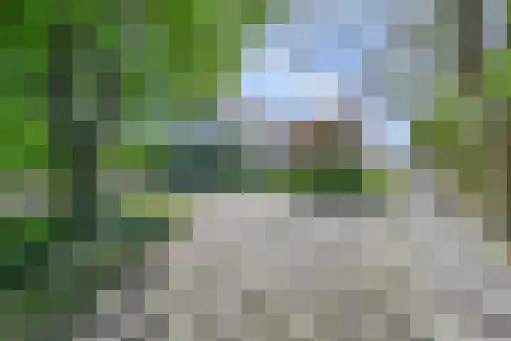 Boetseweg 25 Roswinkel thumbnail 11