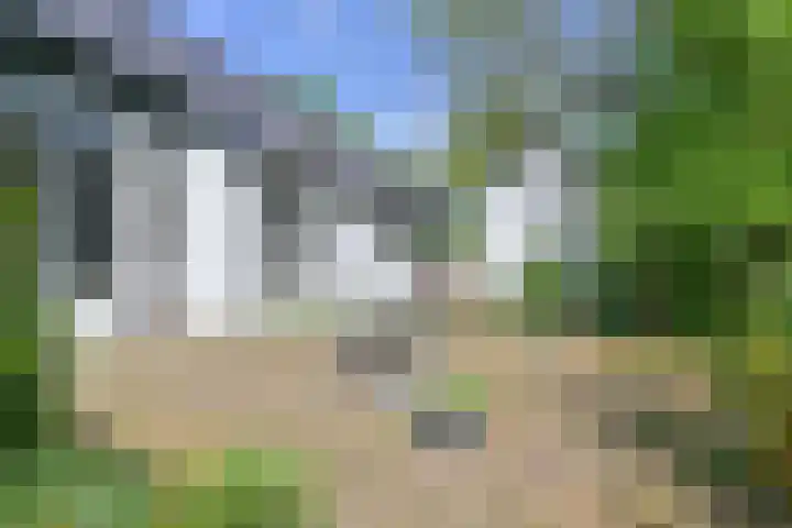 Boetseweg 25 Roswinkel thumbnail 118