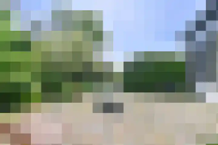 Boetseweg 25 Roswinkel thumbnail 119