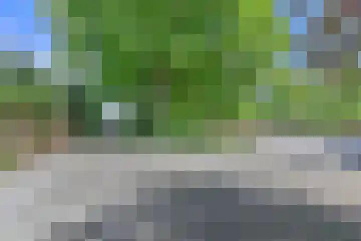 Boetseweg 25 Roswinkel thumbnail 12