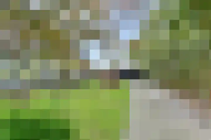 Boetseweg 25 Roswinkel thumbnail 14