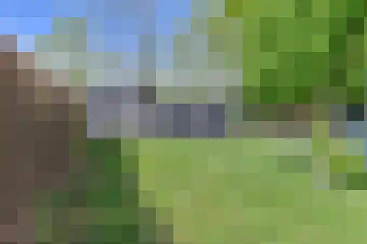 Boetseweg 25 Roswinkel thumbnail 146