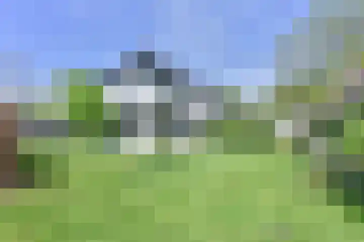Boetseweg 25 Roswinkel thumbnail 147