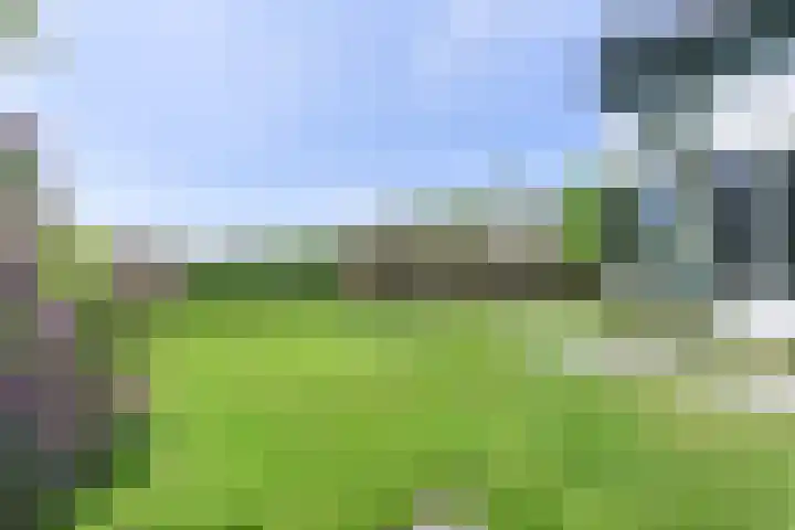Boetseweg 25 Roswinkel thumbnail 148