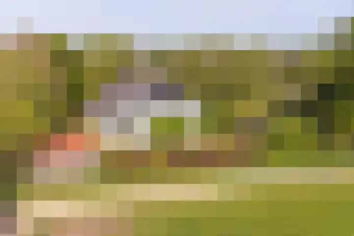 Boetseweg 25 Roswinkel thumbnail 15