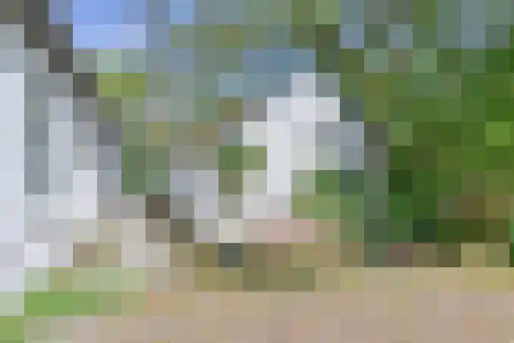 Boetseweg 25 Roswinkel thumbnail 150