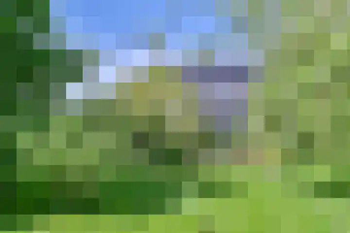Boetseweg 25 Roswinkel thumbnail 151