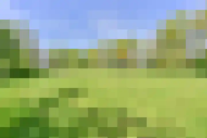 Boetseweg 25 Roswinkel thumbnail 152