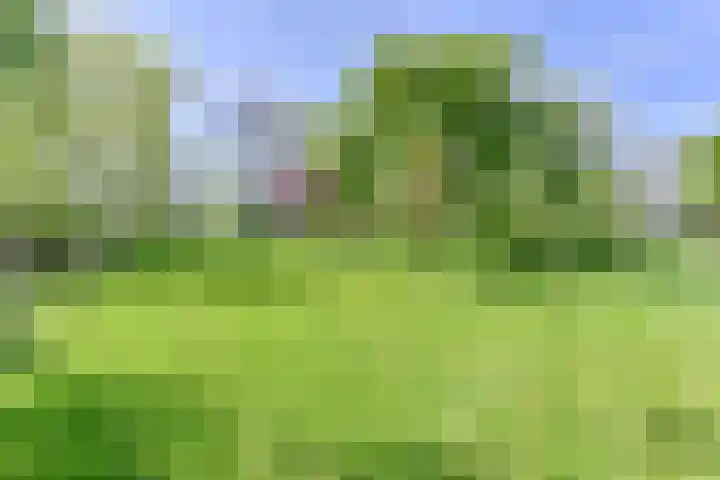 Boetseweg 25 Roswinkel thumbnail 153