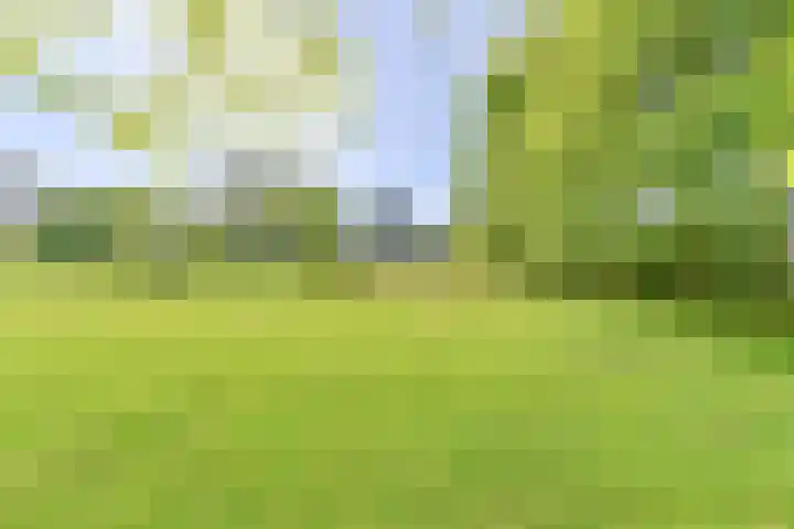 Boetseweg 25 Roswinkel thumbnail 154