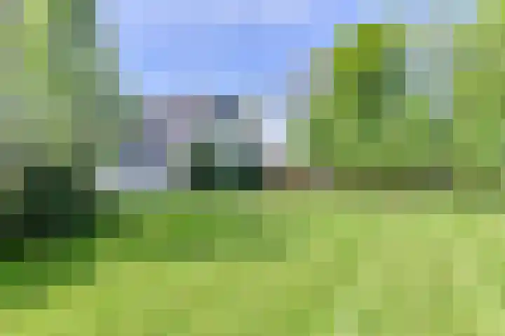 Boetseweg 25 Roswinkel thumbnail 155