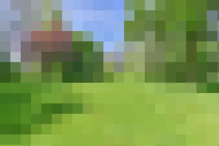 Boetseweg 25 Roswinkel thumbnail 156