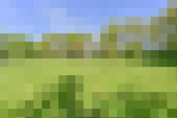 Boetseweg 25 Roswinkel thumbnail 157
