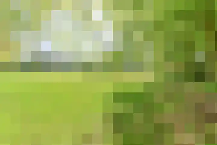 Boetseweg 25 Roswinkel thumbnail 158