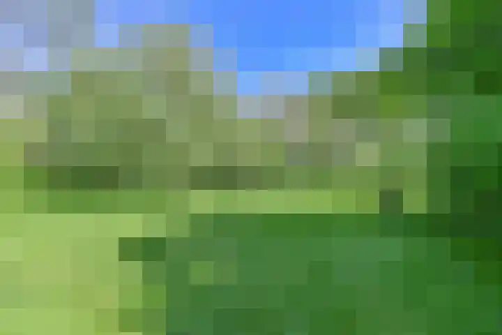 Boetseweg 25 Roswinkel thumbnail 159