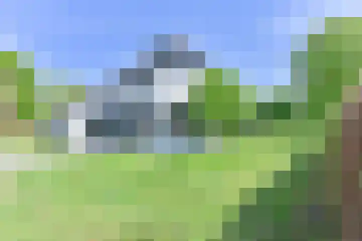 Boetseweg 25 Roswinkel thumbnail 16