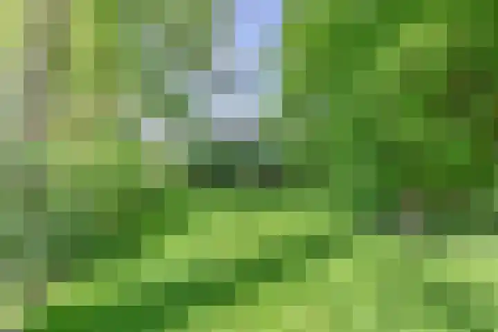 Boetseweg 25 Roswinkel thumbnail 160