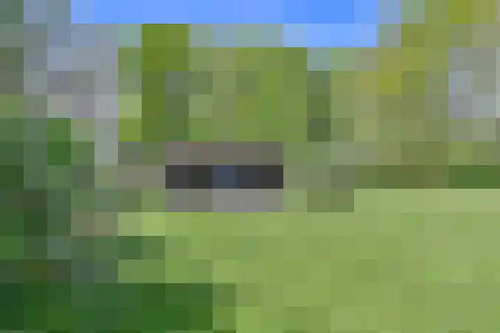 Boetseweg 25 Roswinkel thumbnail 161