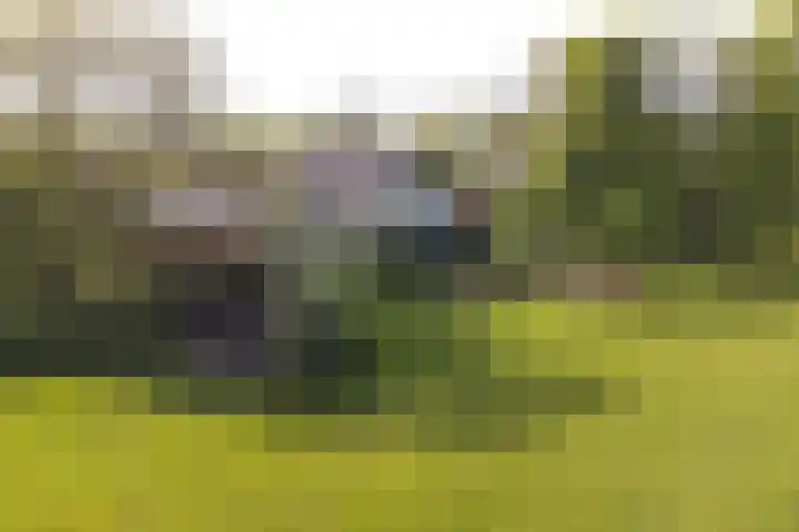 Boetseweg 25 Roswinkel thumbnail 162