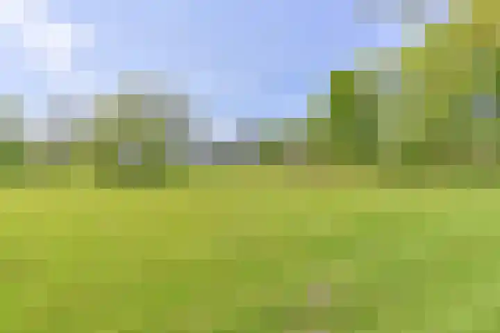 Boetseweg 25 Roswinkel thumbnail 163
