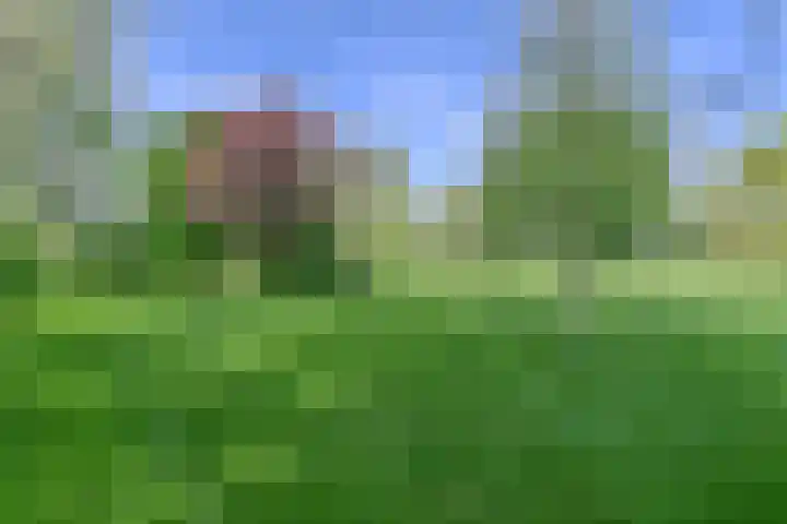 Boetseweg 25 Roswinkel thumbnail 164
